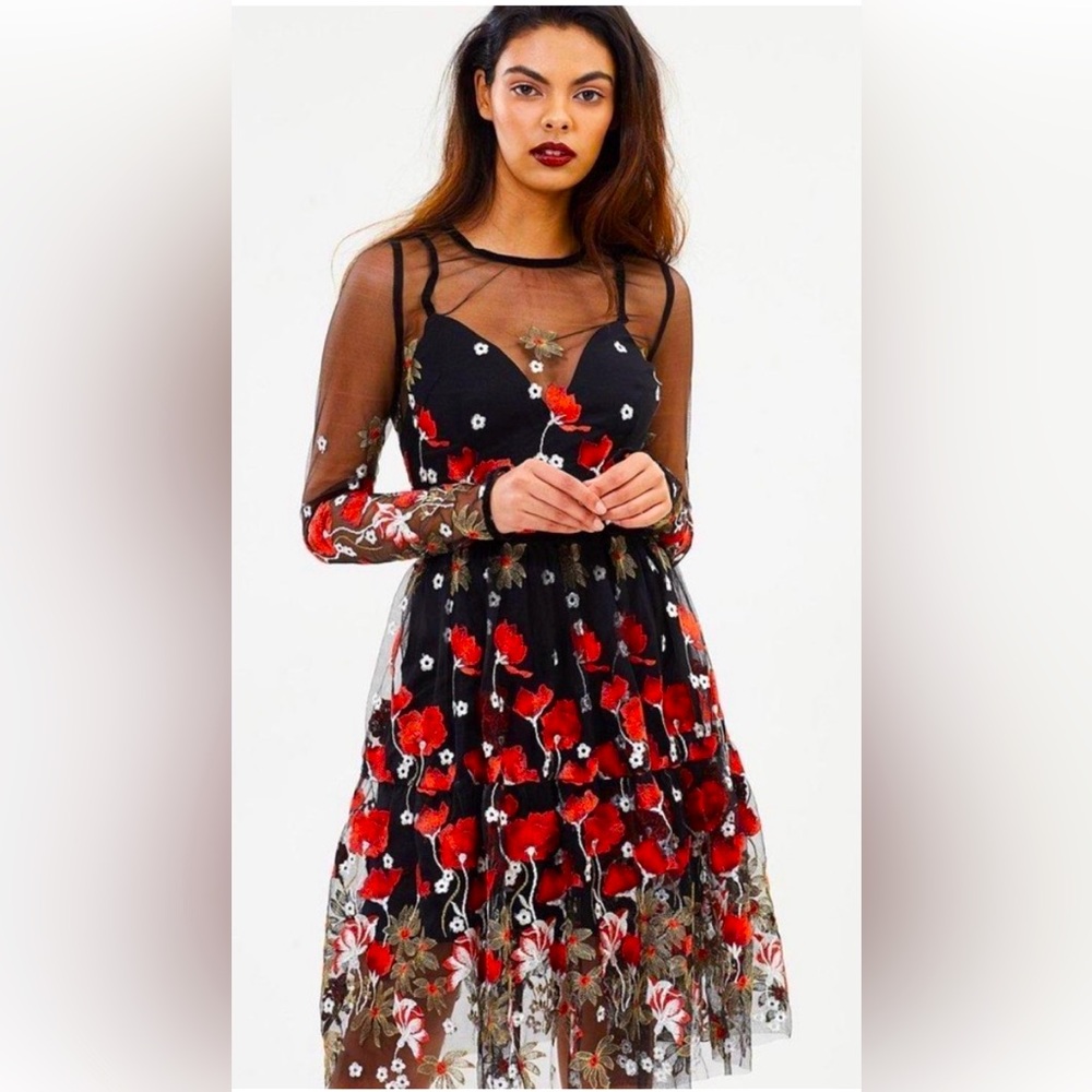 Bronx & Banco Long Sleeve Bianca Embroidered Floral Mesh A-line Dress